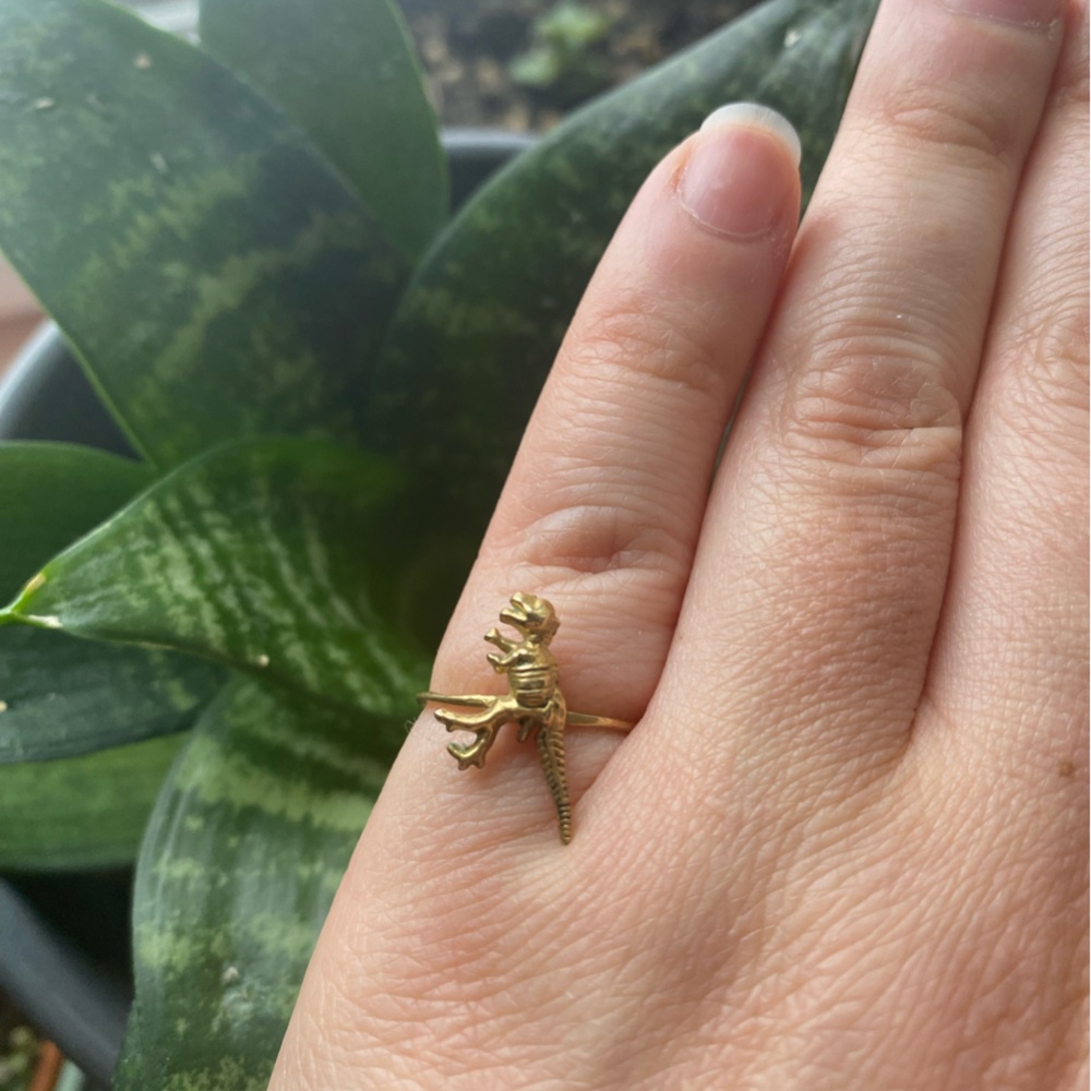 Brass T-rex Ring with Curved Elegance size 6